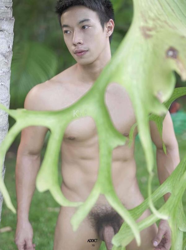 Addict--The-Premium-Issue